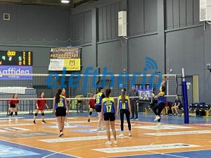 gelkardamilisgelpetalidiouf3_result